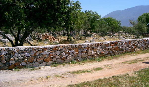 Οικόπεδο - Plot